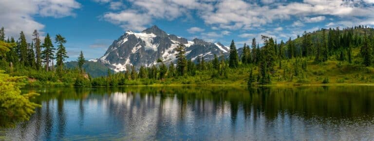 Lake Forest WA