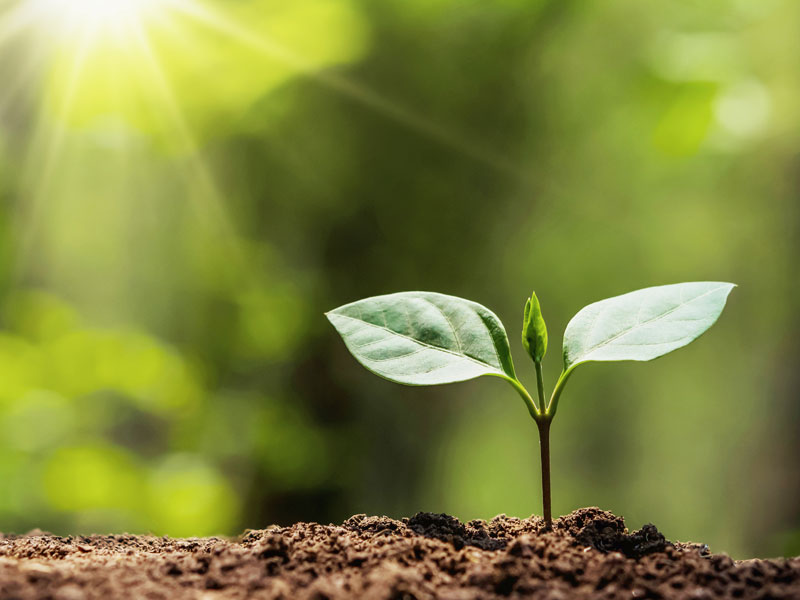 Eco Friendly IT Asset Destruction